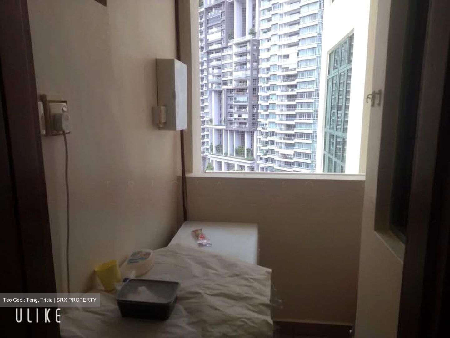 Tanglin Regency (D10), Condominium #607383801